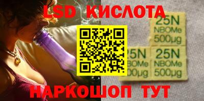 спайс Кингисепп