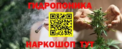 спайс Кингисепп