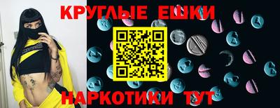 спайс Кингисепп