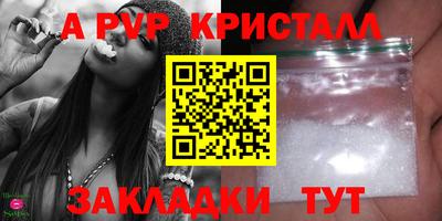 спайс Кингисепп