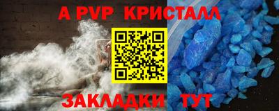 спайс Кингисепп