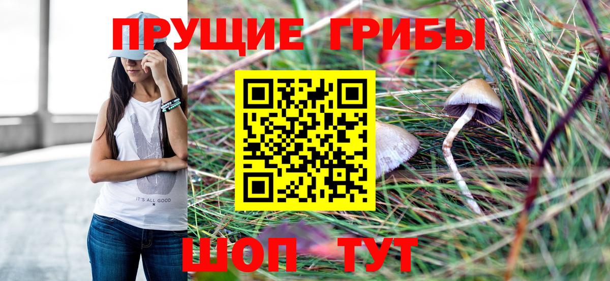 Галлюциногенные грибы прущие грибы Торжок