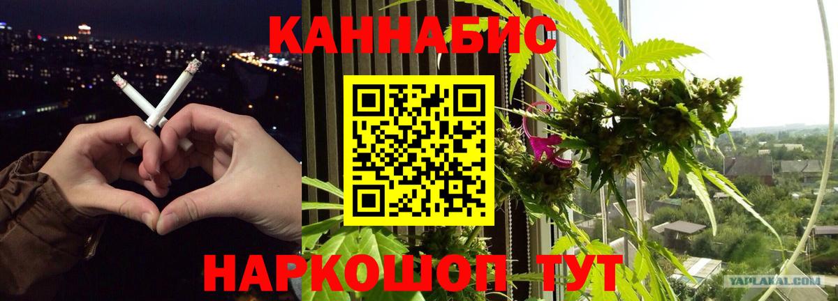 Канабис семена  Вход с VPN  МАРИХУАНА White Widow  Шишки марихуана ГИДРОПОН  Торжок 